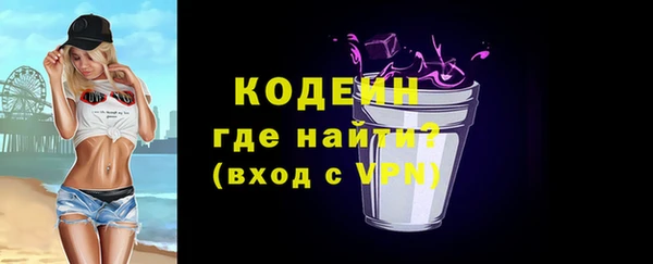 Альфа ПВП Инта