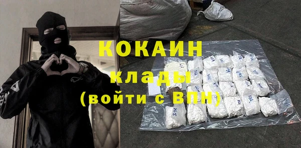 Альфа ПВП Инта