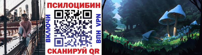 Купить  Ветлуга  Псилоцибиновые грибы мицелий 